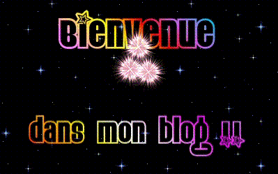 bienvenu sur mon blog